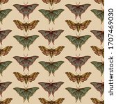 A Pattern Of Butterflies On A...