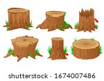 Collection Of Tree Stumps ...