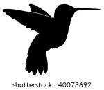 Silhouette Of Hummingbird