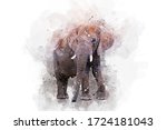Elephant Animal In Watercolor...