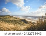 Overlooking dunes at danish coastline. High quality photo