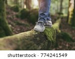 Woman walking on a log in the forest and balancing: physical exercise, healthy lifestyle and harmony concept