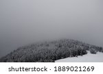 Small photo of spruce forests covered with snow, reminiscent of the polar landscape of the taiga. these are commercial forests artificially planted contemporaneous and highly susceptible to pests. above them flag