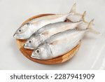 Small photo of Raw fresh Mackerel fish or ikan kembung and ingredients ,Fresh seafood concept.