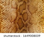 Phyton snake skin / leather close up texture