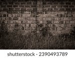 Old brick wall with nice texture and green grass under it in sepia filter