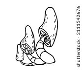 mushrooms in doodle style. hand ... | Shutterstock .eps vector #2111542676