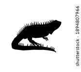 silhouette of a tuatara or... | Shutterstock .eps vector #1894807966