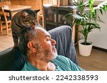 Tabby cat licking head of bearded man in living room. Human-animal relationships. Pets care. Funny home pet. Cat day. Selective focus. Adopted pet.