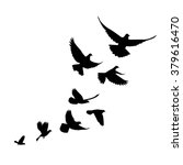 a flock of birds  pigeons  go... | Shutterstock .eps vector #379616470