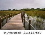 Wooden stakes in perspective and reflected in the water flanking a walkway with wild vegetation in Barrinha de Esmoriz, PORTUGAL