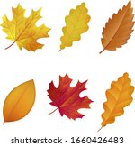 different types of autumn... | Shutterstock .eps vector #1660426483