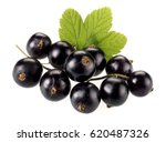 BUNCH OF FRESH BLACKCURRANTS ON WHITE