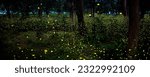Small photo of Bokeh of bioluminescence or flashing light of Swarm Fireflies, Firefly flying in forest twilight time. Overview of magical secret science of Fireflies in Thailand. Long-Exposure Photo with noise grain