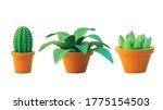 vector set houseplant cactus... | Shutterstock .eps vector #1775154503