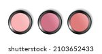 check blush powder compact... | Shutterstock .eps vector #2103652433