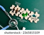 Small photo of stethoscope and wooden puzzle with the words and icons of human health, animal health and environmental health. the concept of a clean and healthy environment. responsibility to the environment.