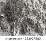 Small photo of Anthill is a surface caused by termites to create a living, which is a termite nest inhabited by many hugely evidentiary structure can be constructed from beautifully natural.