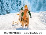 Two little kids have fun in the beautiful winter nature with snow-covered trees. Children walk along a snowy road pulling a sled. Winter knitted wool retro clothes.
