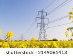 Electricity pylons in a field...