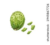 Nopal Cactus Slice And Whole....