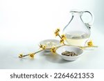 Glass jug with essence, skin cream and dried bark of hamamelis or witch hazel, natural cosmetics of the medicial plant, light gray green background, copy space, selected focus, narrow depth of field