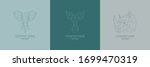 vector linear animal logos on a ... | Shutterstock .eps vector #1699470319