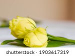 Two Yellow Roses On A Table ...