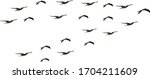 a flock of birds flies south | Shutterstock .eps vector #1704211609