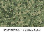 Military Camouflage Texture...