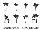 palm icons set. 8 black palm... | Shutterstock .eps vector #1893130930