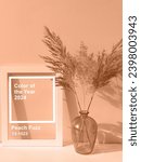 Small photo of Peach fuzz is the color of the year 2024. Frame, glass vase and dry flowers toned in fashion blended pink-orange trend-setting colour of year Peach Fuzz