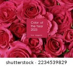 Small photo of Trendy color of 2023 Viva Magenta. Flowers toned in magenta colour. Text Color of the year 2023 Viva Magenta over flat lay roses