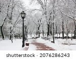 A snowy sidewalk goes into distance in winter park at freezing cold day. Walking path in city park with bare trees covered with white snow. Wintry landscape. Black street lamp for lighting street.