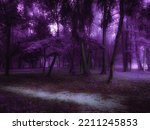 Mystical forest in the morning fog. Autumn woods in thick fog in purple tones. Foggy landscape.