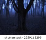 Scary dark forest in the fog. Mysterious autumn woods in blue colors. Gloomy forest at dusk.