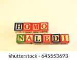 Small photo of The term homo naledi visually displayed using colorful wooden blocks