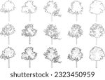 Tree elevation line silhouettes - maple