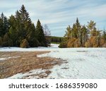 spring landscape with melting snow near the forest against a beautiful blue sky with clouds