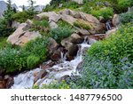  a lovely mountain stream cascade  and wildflowers in summer  on the hiking trail  up to isabelle lake in the indian peaks wilderness area, near nederaland, colorado