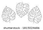 hand draw set of tropical... | Shutterstock .eps vector #1815024686