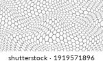 black and white honey hexagonal ... | Shutterstock .eps vector #1919571896