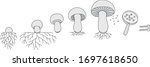 the life cycle of mushrooms.... | Shutterstock .eps vector #1697618650