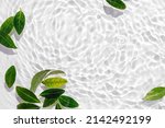 Small photo of Green leaves on water surface. Beautiful water ripple background for product presentation. Copy space