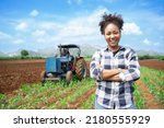 Small photo of African woman Agriculture Farmer examining corn plant in field. Agricultural activity at cultivated land. Woman agronomist inspecting maize seedling.Expert inspect plant quality in green field rural.