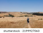 Woman in a hat walking outdoors through the hills with dry grass, view from the back