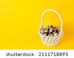 White basket full of quail eggs and feather on bright yellow paper background with copy space, empty place for text. Easter holiday. Greeting card. Religious mockup design. Healthy food. Farm product.