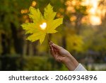 A female hand holds a yellow maple leaf with a cut out heart against the backdrop of the setting sun in the park. Beautiful background with a yellow uklenovy leaf and a glowing heart.