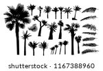a set of palm trees and palm... | Shutterstock .eps vector #1167388960