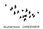 A Flock Of Flying Birds. Vector ...